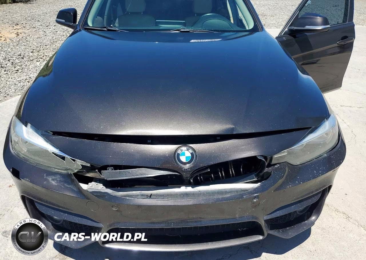 2016 BMW 320 I VIN:WBA8E1G58GNT35013 - 11