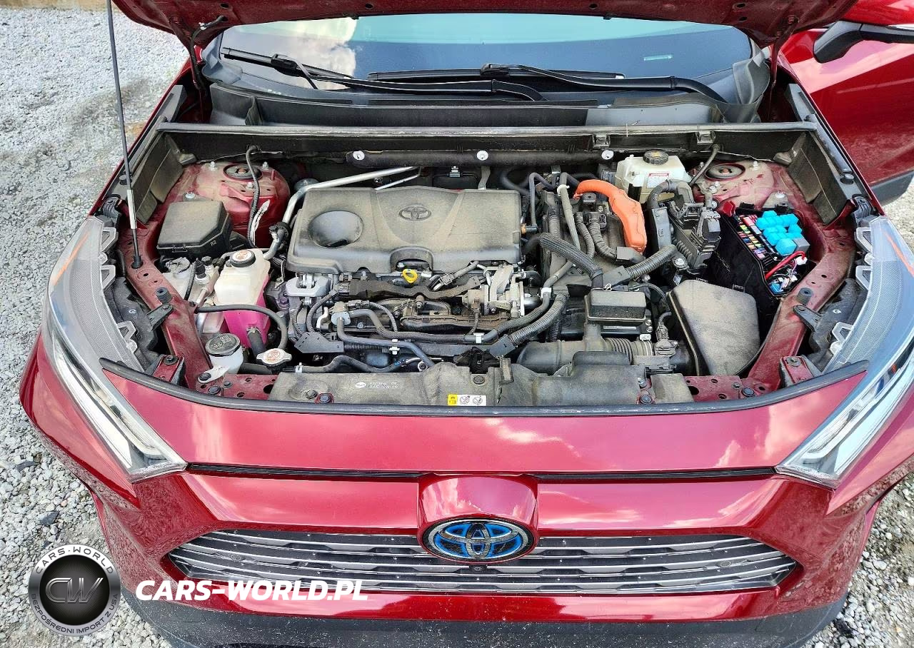 2019 Toyota Rav4 Limited VIN:JTMDWRFV9KD520796 - 12