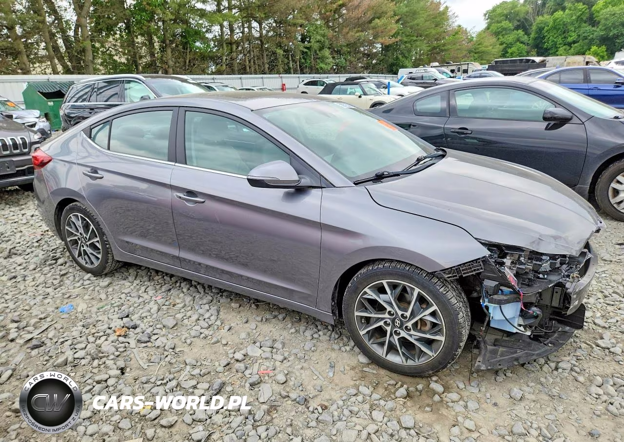 2019 Hyundai Elantra Limited VIN:5NPD84LF9KH415308 - 4