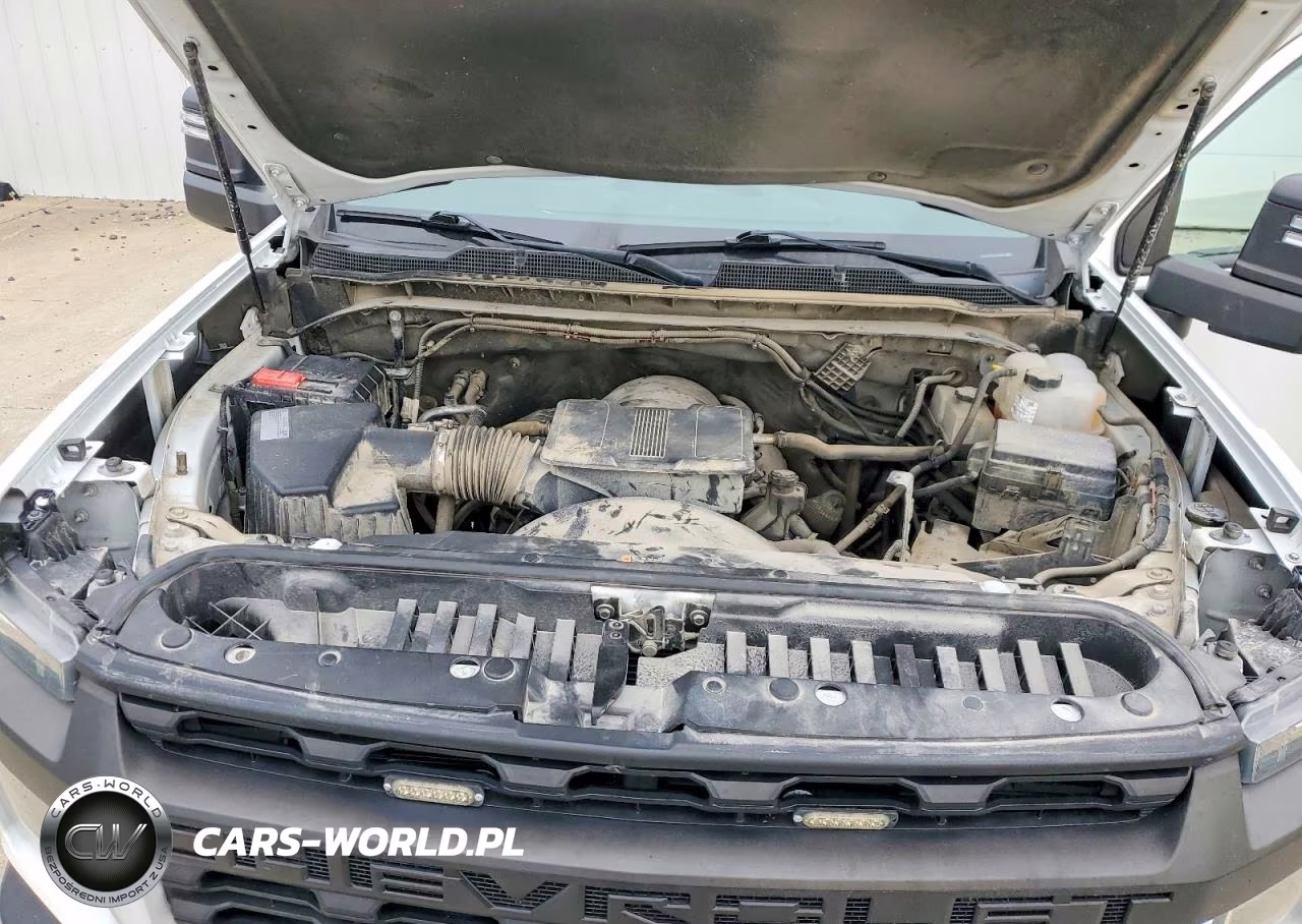 2020 Chevrolet Silverado K2500 Heavy Duty VIN:1GC4YLE75LF252622 - 11