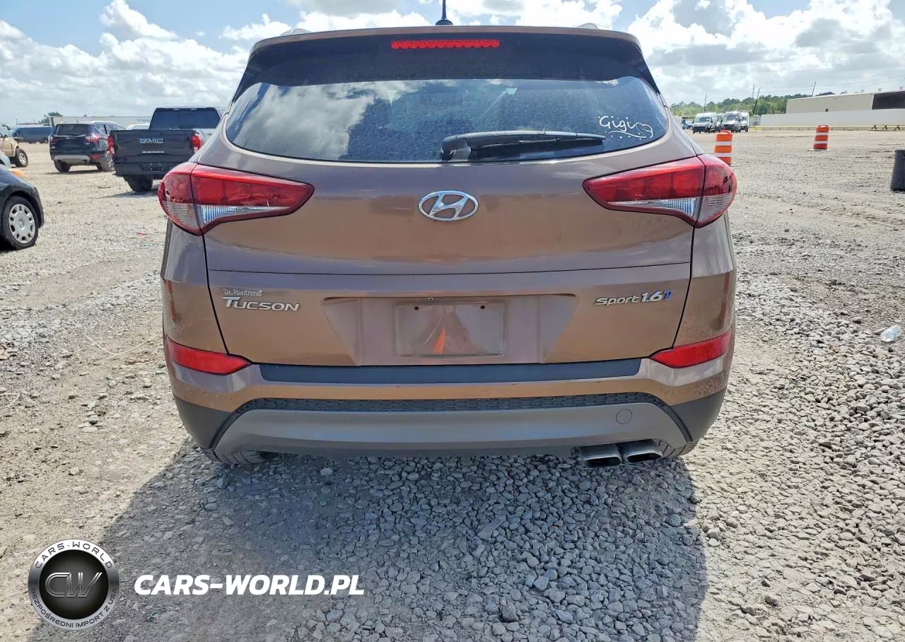 2016 Hyundai Tucson Sport VIN:KM8J33A28GU159330 - 6