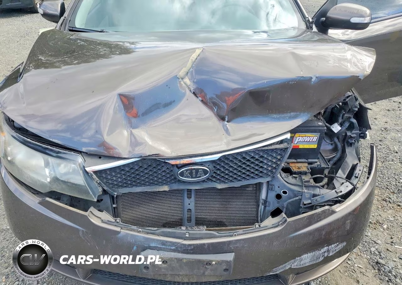 2010 Kia Forte Ex VIN:KNAFU4A2XA5060133 - 11