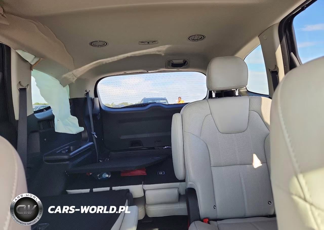 2020 Kia Telluride Ex VIN:5XYP3DHC9LG075483 - 10
