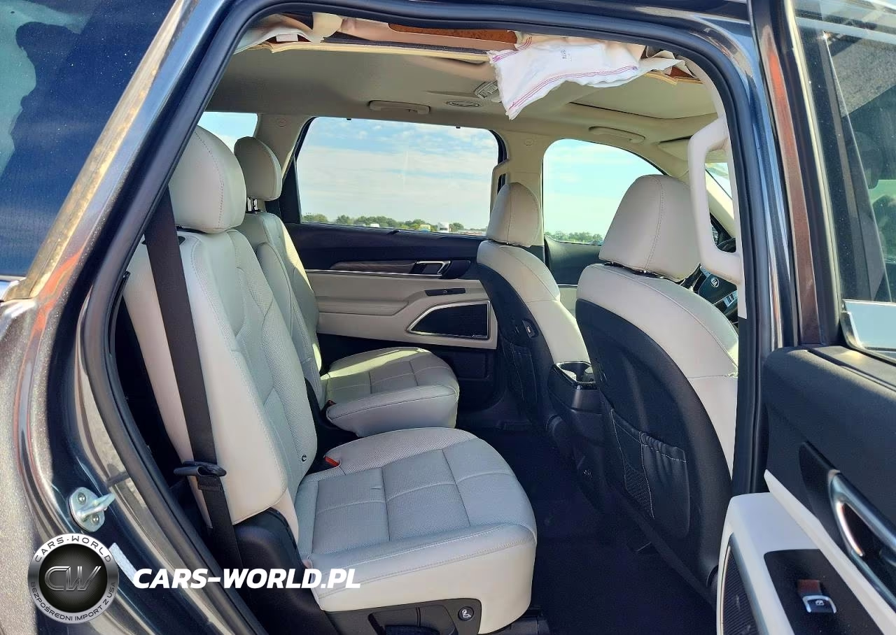 2020 Kia Telluride Ex VIN:5XYP3DHC9LG075483 - 11