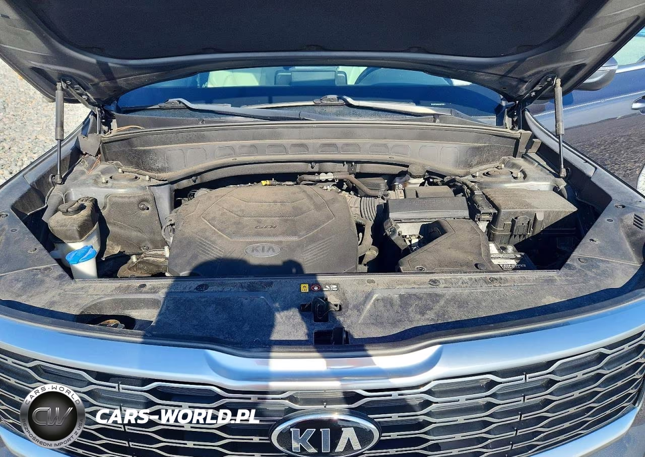 2020 Kia Telluride Ex VIN:5XYP3DHC9LG075483 - 12