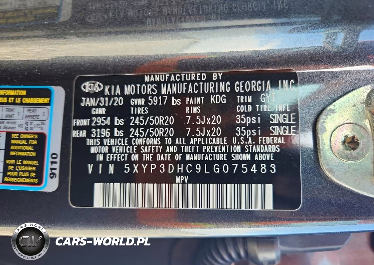 2020 Kia Telluride Ex VIN:5XYP3DHC9LG075483 - 13