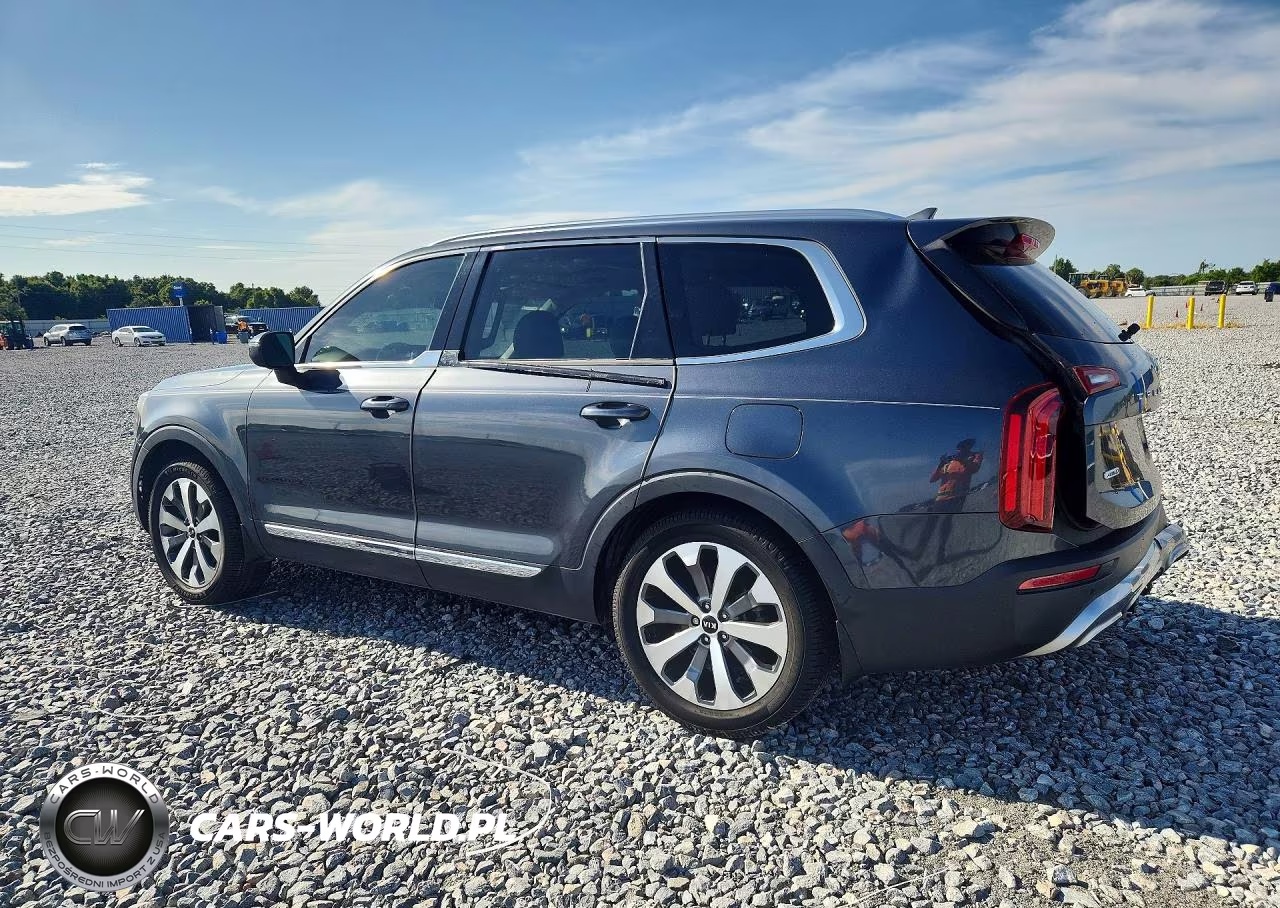 2020 Kia Telluride Ex VIN:5XYP3DHC9LG075483 - 2