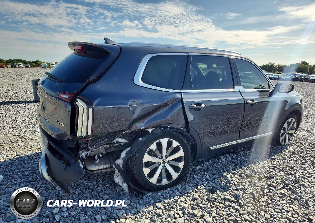 2020 Kia Telluride Ex VIN:5XYP3DHC9LG075483 - 3