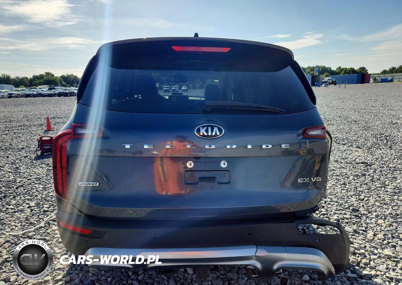 2020 Kia Telluride Ex VIN:5XYP3DHC9LG075483 - 6