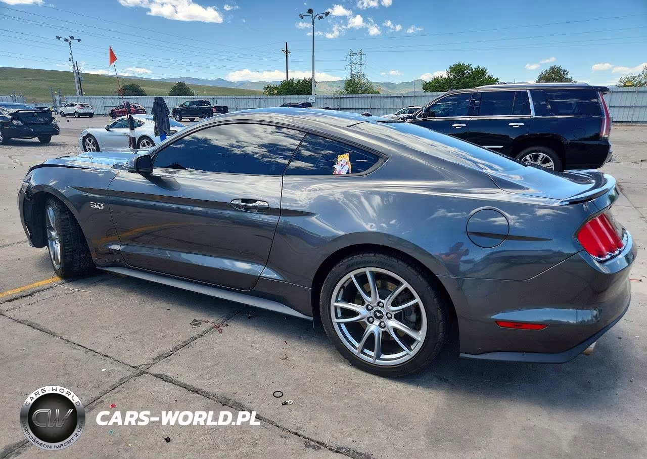 2015 Ford Mustang Gt VIN:1FA6P8CFXF5325986 - 2