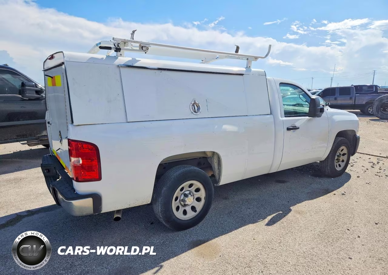 2013 Chevrolet Silverado C1500 VIN:1GCNCPEX9DZ900067 - 3