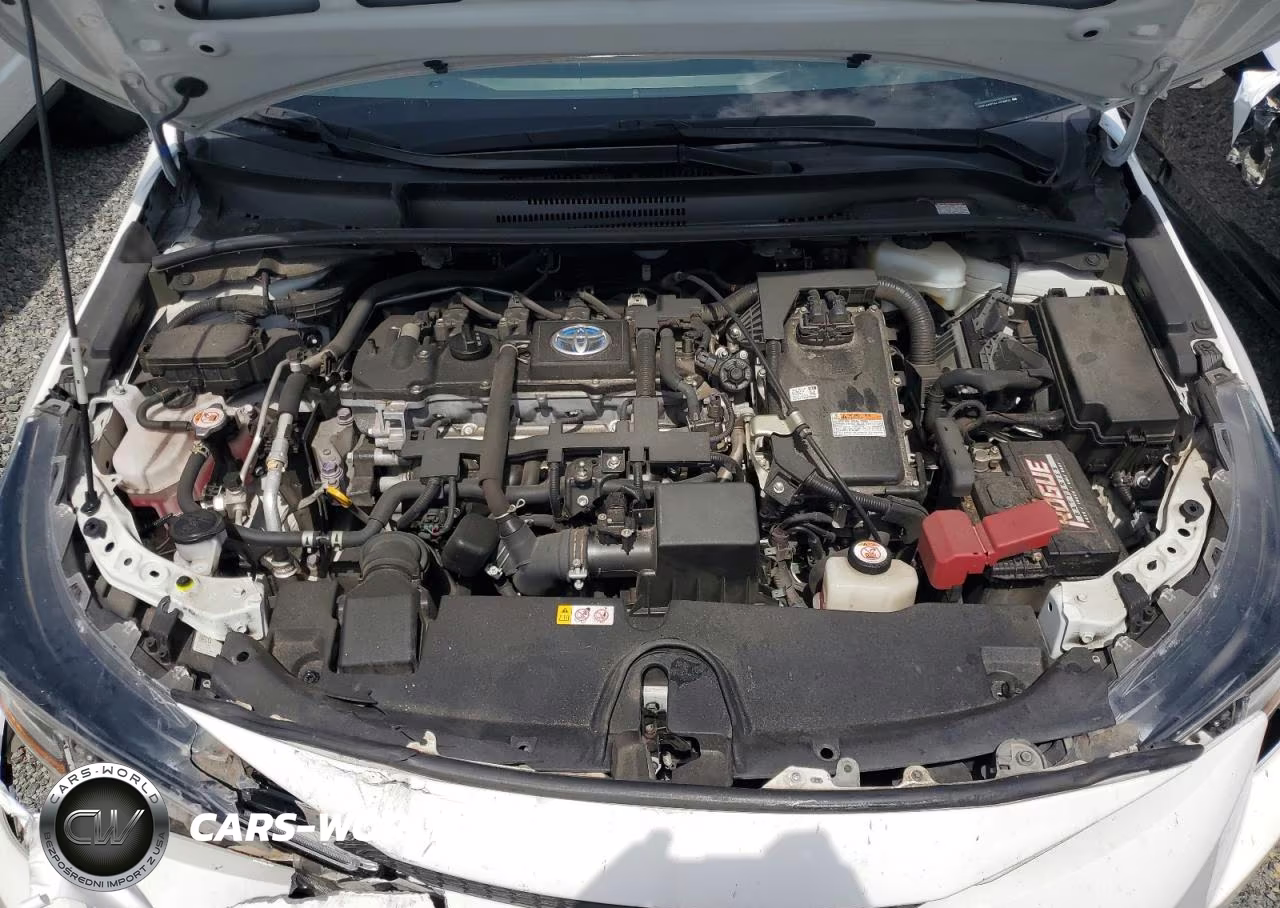 2021 Toyota Corolla Le VIN:JTDEAMDE2MJ004809 - 11