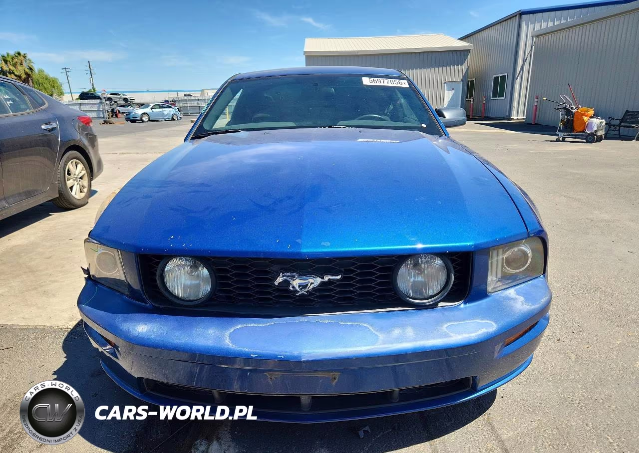2009 Ford Mustang Gt VIN:1ZVHT82H195105333 - 5