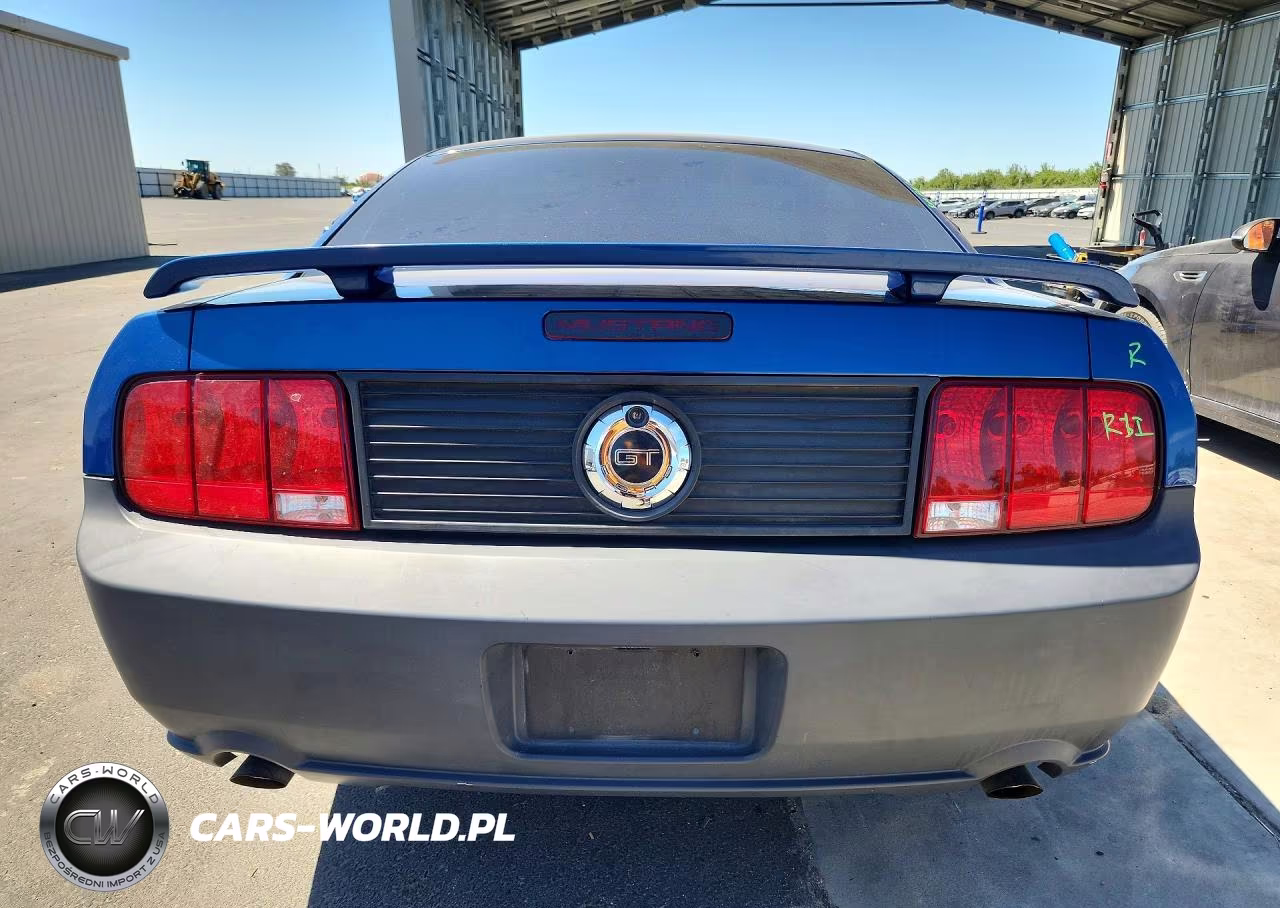 2009 Ford Mustang Gt VIN:1ZVHT82H195105333 - 6