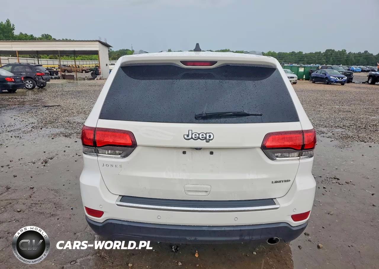 2020 Jeep Grand Cherokee Limited VIN:1C4RJEBG3LC118297 - 6