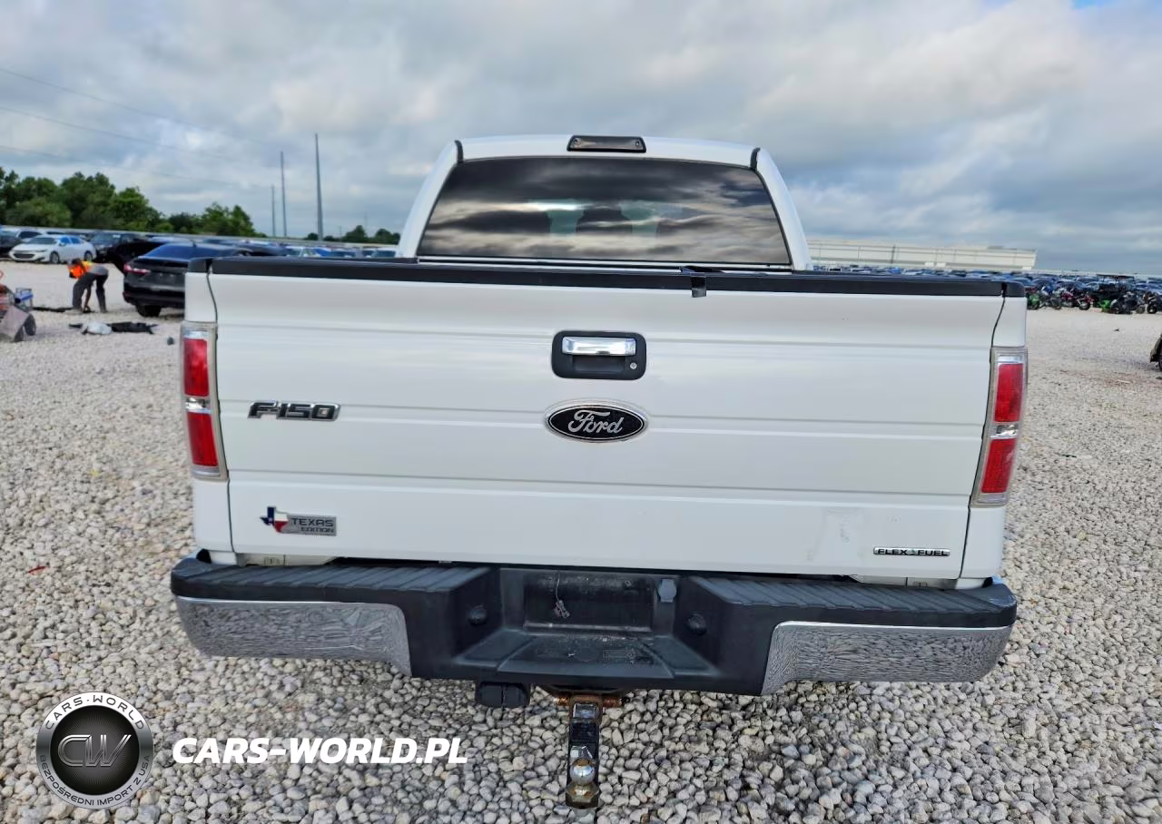 2011 Ford F150 Supercrew VIN:1FTFW1EF3BKD64819 - 6