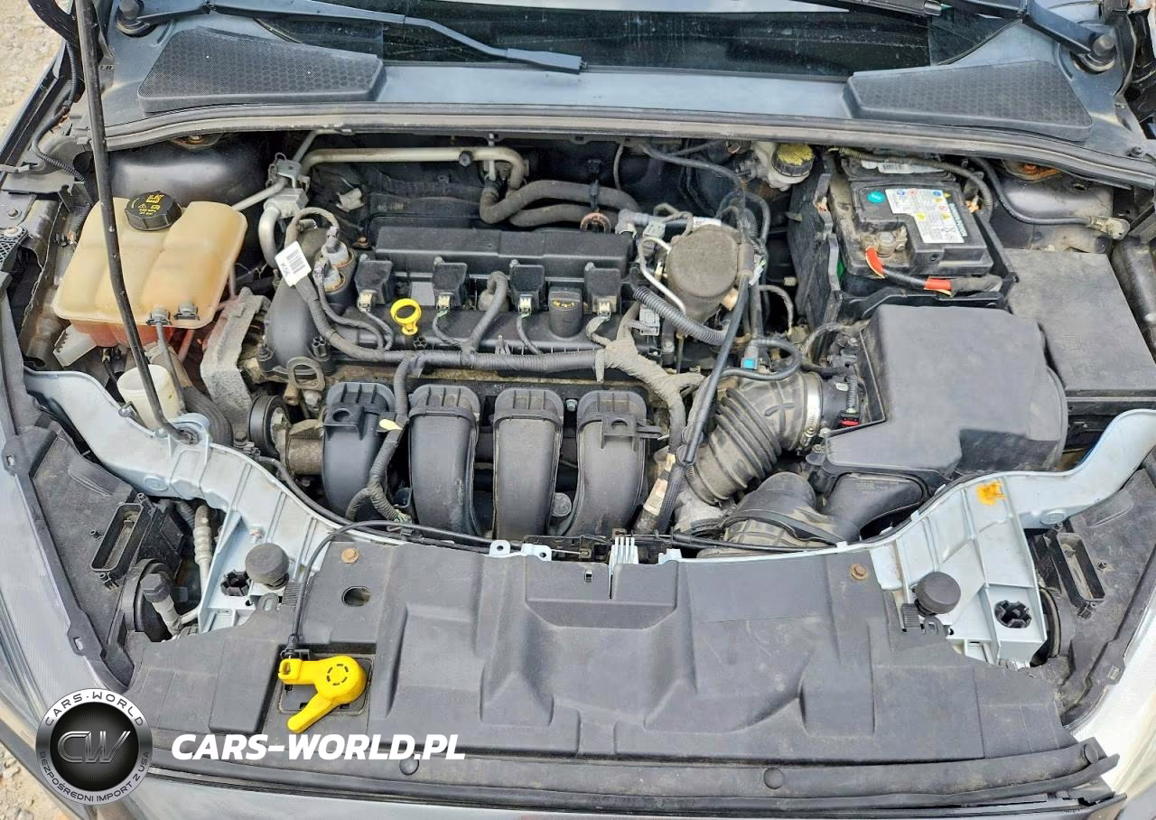 2016 Ford Focus Se VIN:1FADP3F27GL202002 - 11