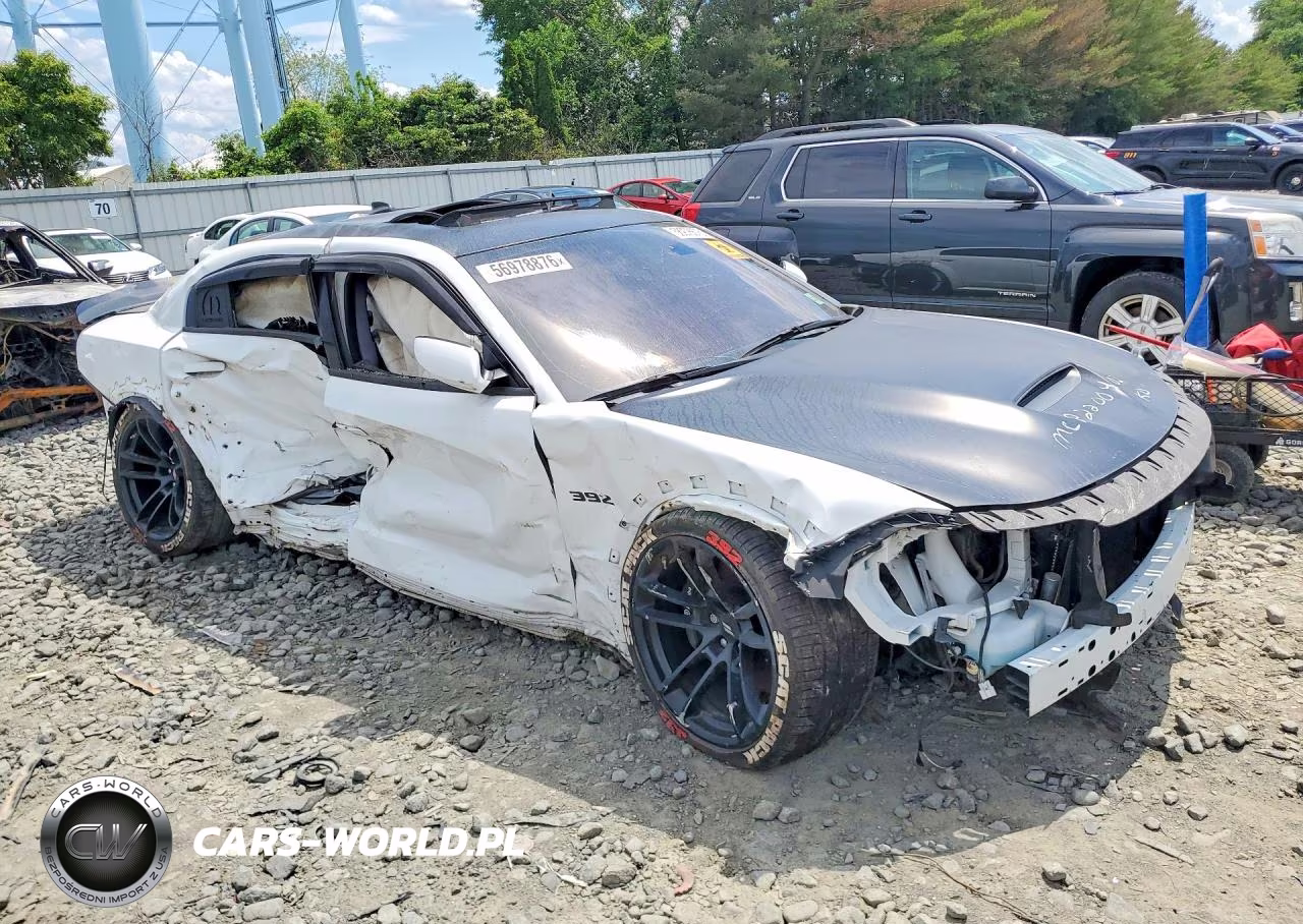 2020 Dodge Charger Scat Pack VIN:2C3CDXGJ9LH192211 - 4