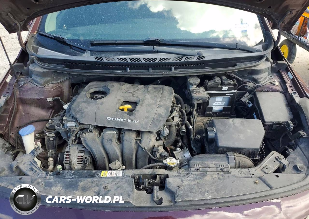 2017 Kia Forte Lx VIN:3KPFK4A74HE037059 - 11