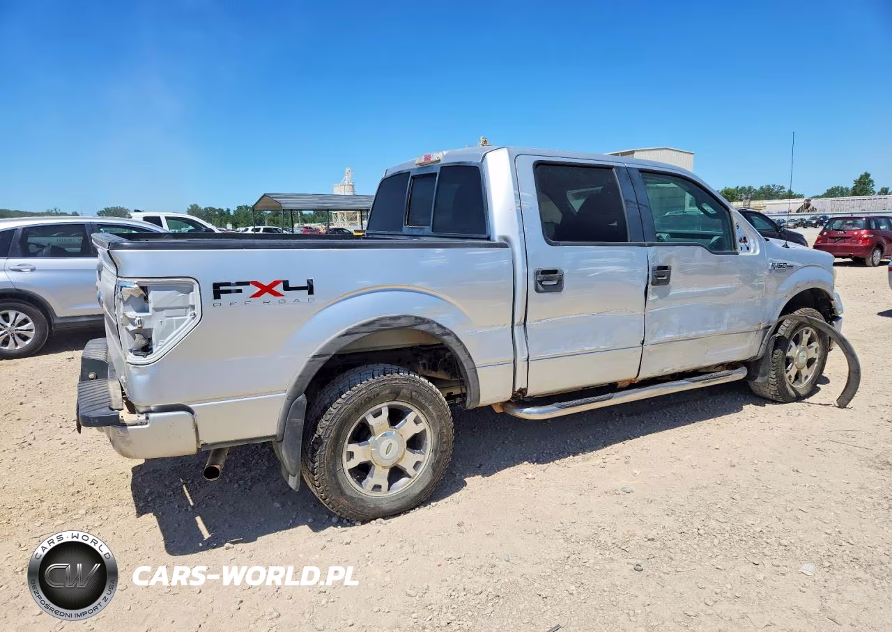 2010 Ford F150 Supercrew VIN:1FTFW1EV6AFD94332 - 3