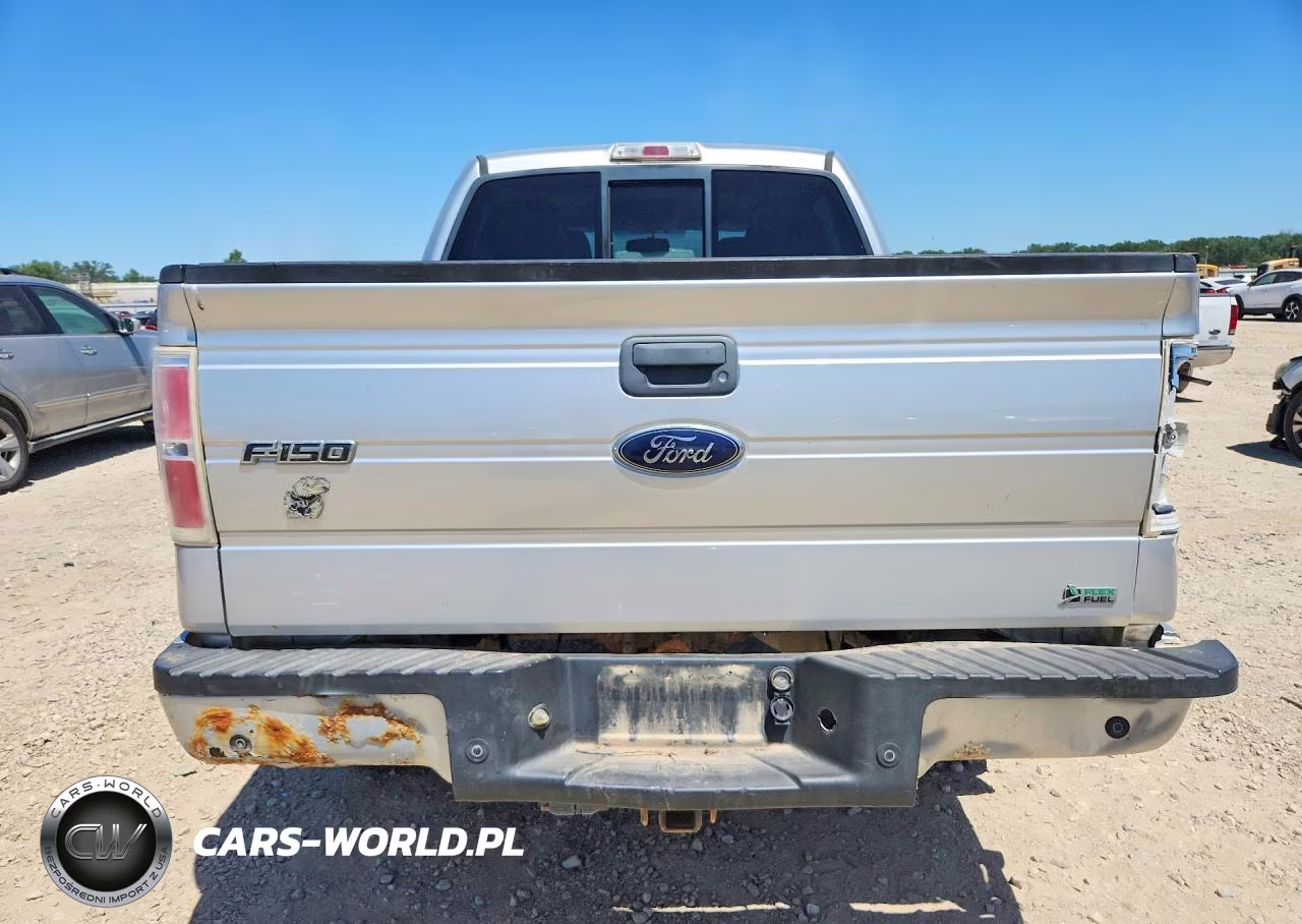 2010 Ford F150 Supercrew VIN:1FTFW1EV6AFD94332 - 6