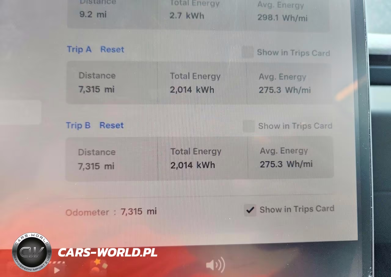 2025 Tesla Model 3 VIN:5YJ3E1EA1SF967873 - 9