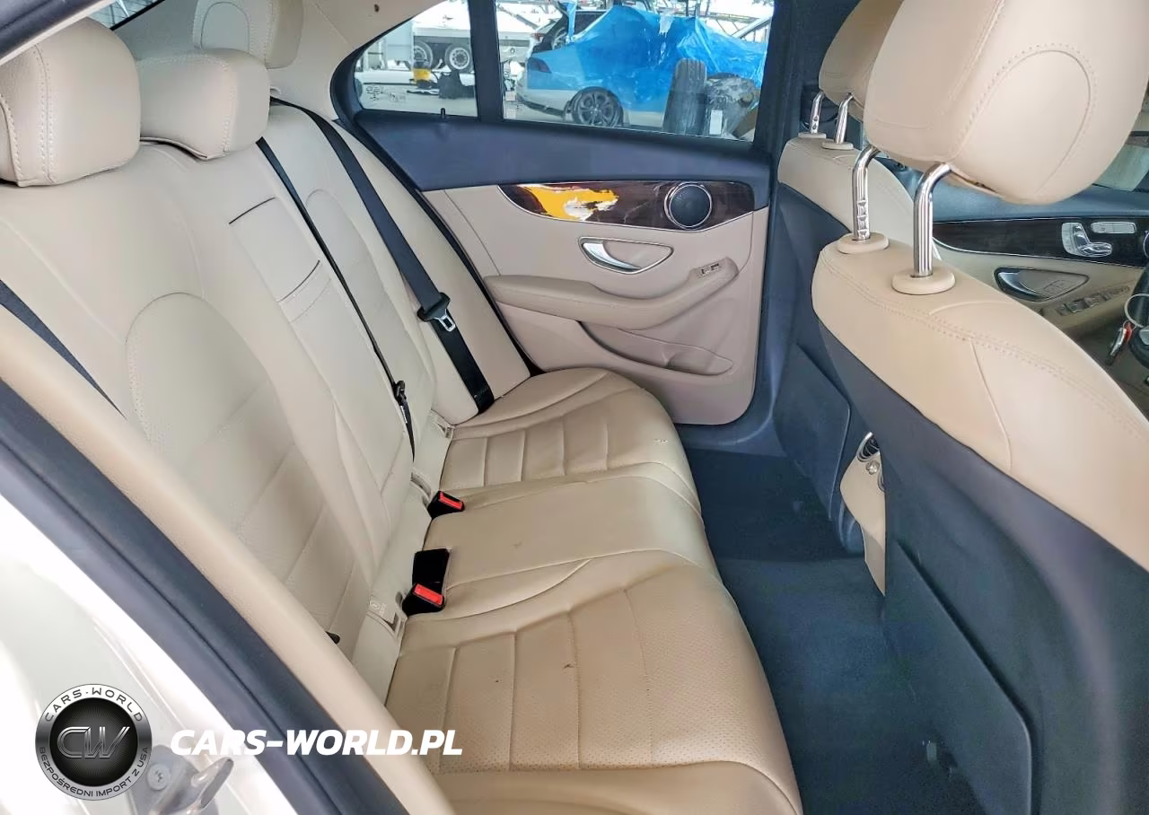 2017 Mercedes-Benz C 300 VIN:55SWF4JB8HU230042 - 10