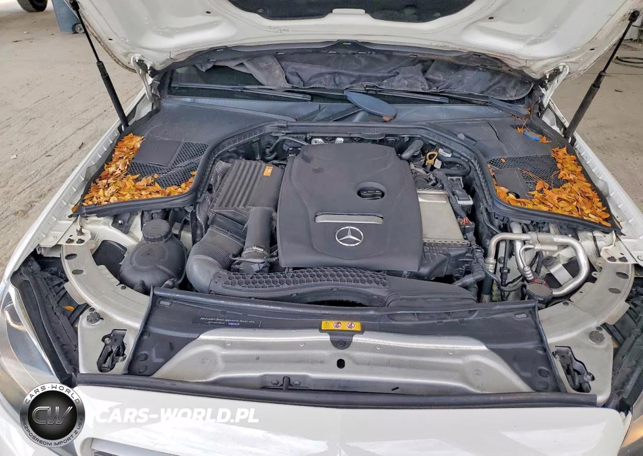 2017 Mercedes-Benz C 300 VIN:55SWF4JB8HU230042 - 11