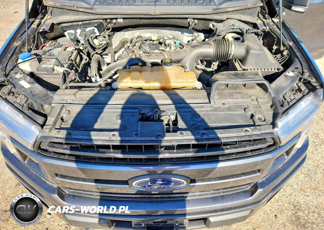 2019 Ford F150 Supercrew VIN:1FTEW1EP1KFB45077 - 11