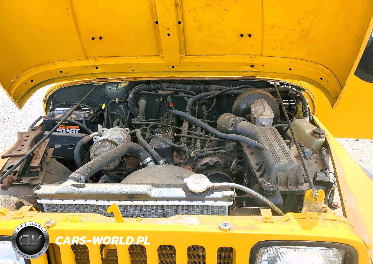 1994 Jeep Wrangler - Yj S VIN:1J4FY19P9RP415955 - 11