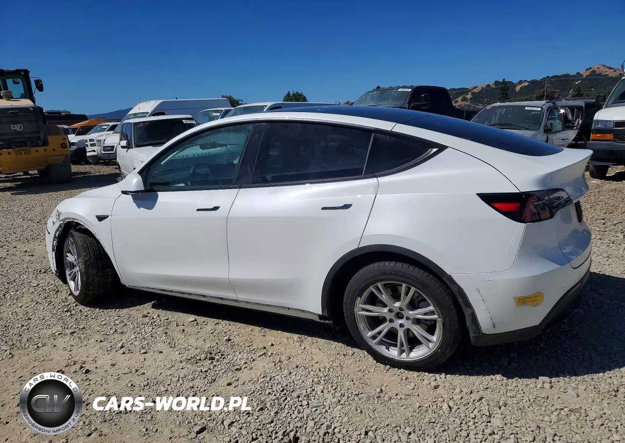2022 Tesla Model Y VIN:7SAYGDEE3NF425119 - 2