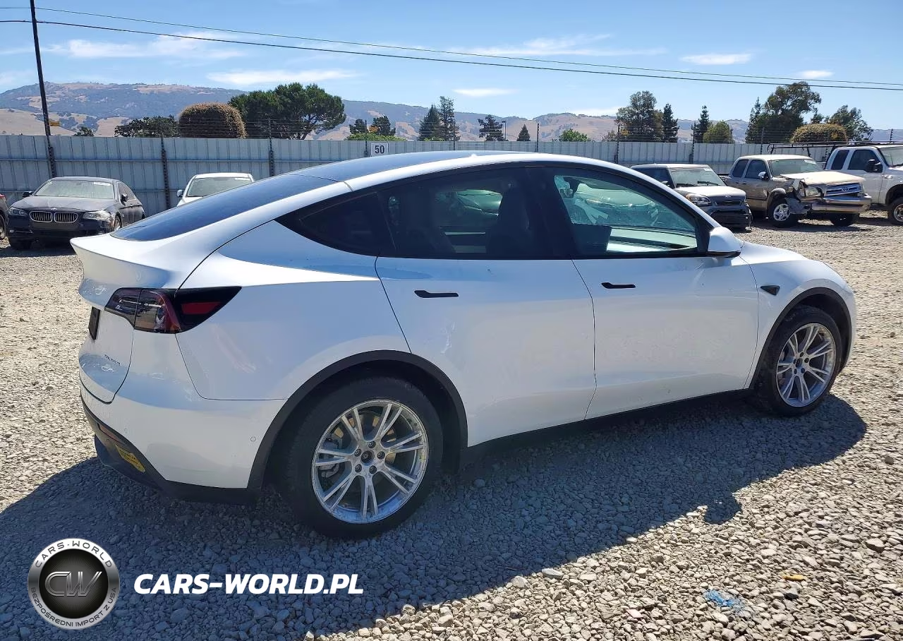 2022 Tesla Model Y VIN:7SAYGDEE3NF425119 - 3