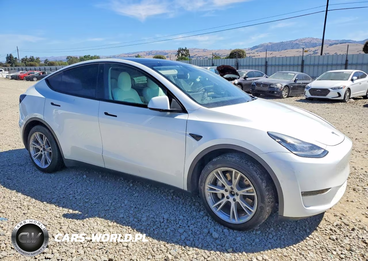 2022 Tesla Model Y VIN:7SAYGDEE3NF425119 - 4
