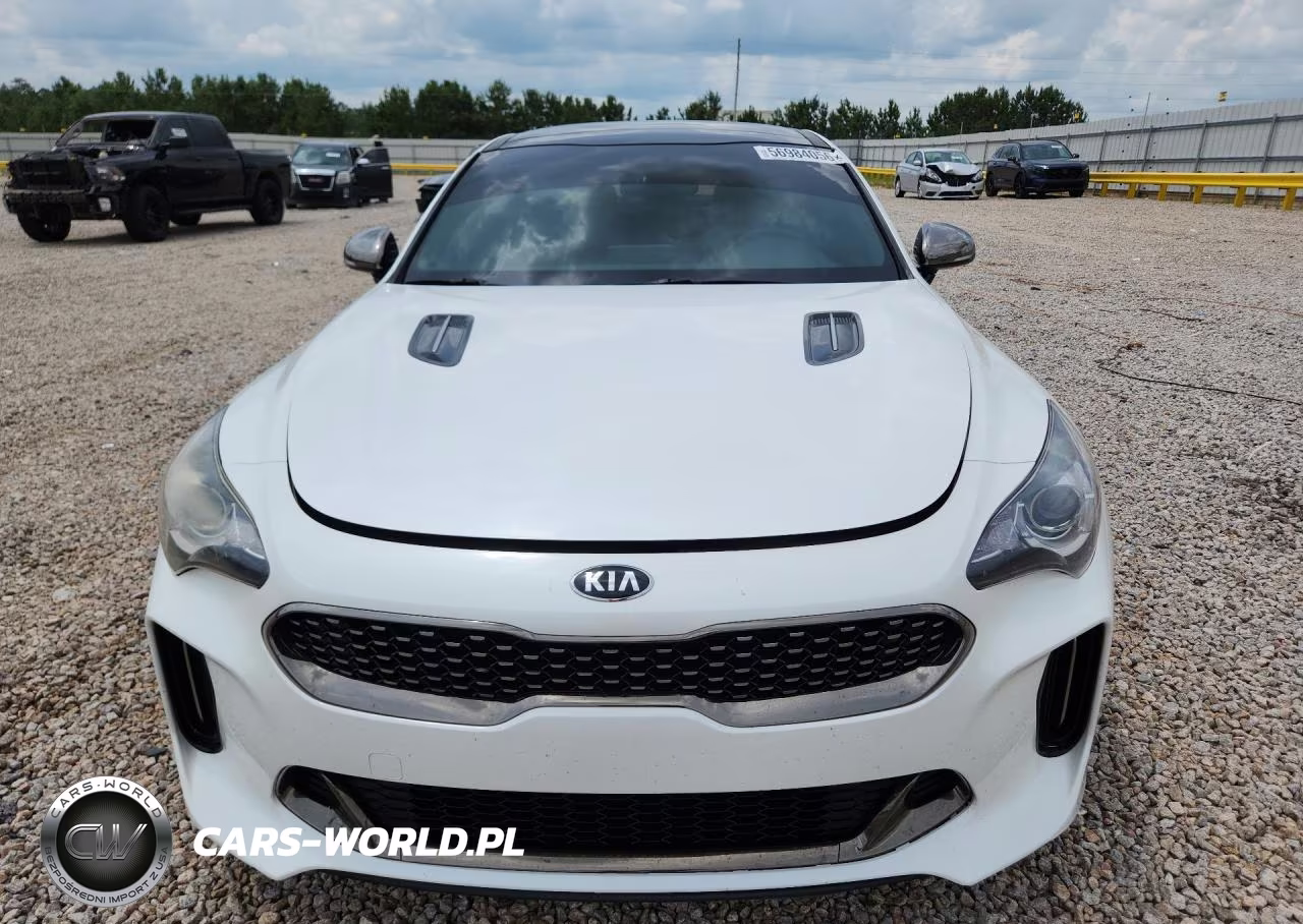 2020 Kia Stinger Gt-Line VIN:KNAE15LA6L6083310 - 5