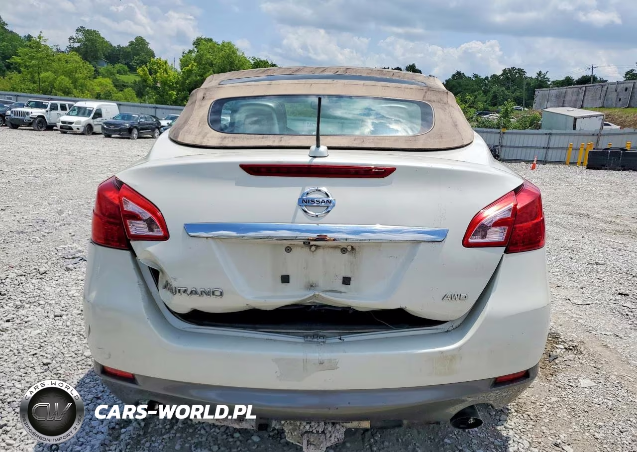 2011 Nissan Murano Crosscabriolet VIN:JN8AZ1FY3BW001189 - 6
