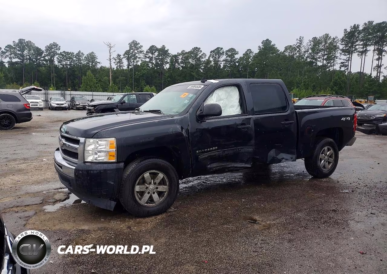 2010 Chevrolet Silverado K1500 Ls