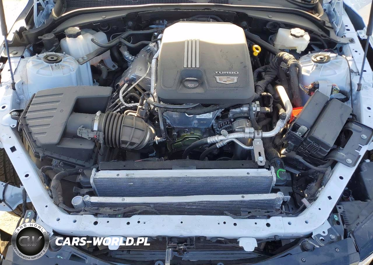 2026 Cadillac Ct4 Premium Luxury VIN:1G6DB5RK5T0105542 - 11