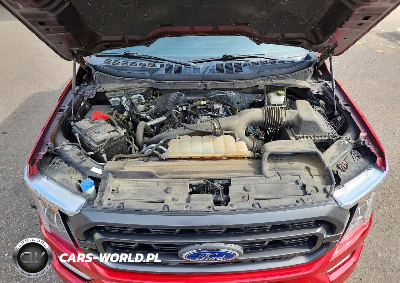 2022 Ford F150 Supercrew Supercrew VIN:1FTEW1EP2NKE65522 - 12