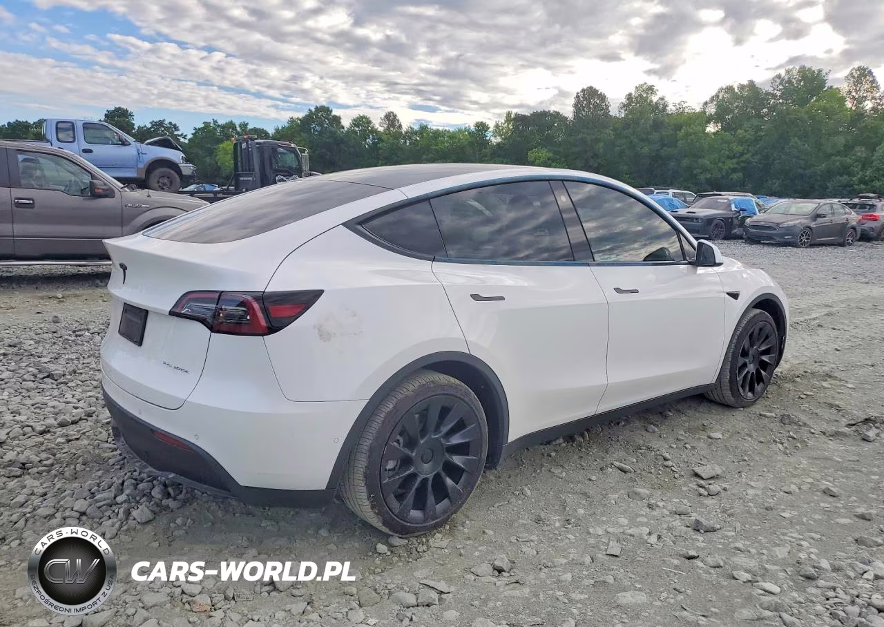 2021 Tesla Model Y VIN:5YJYGAEE1MF195414 - 3