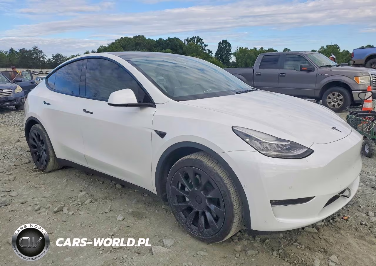 2021 Tesla Model Y VIN:5YJYGAEE1MF195414 - 4