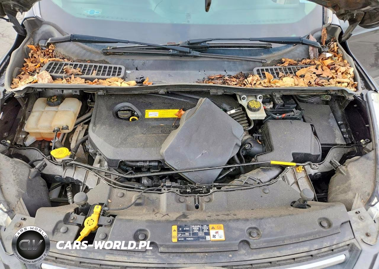 2016 Ford Escape Se VIN:1FMCU9GX3GUA58871 - 12