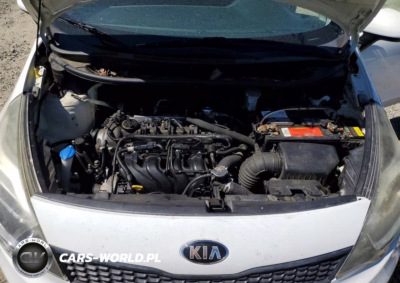 2016 Kia Rio Lx VIN:KNADM4A31G6589702 - 11
