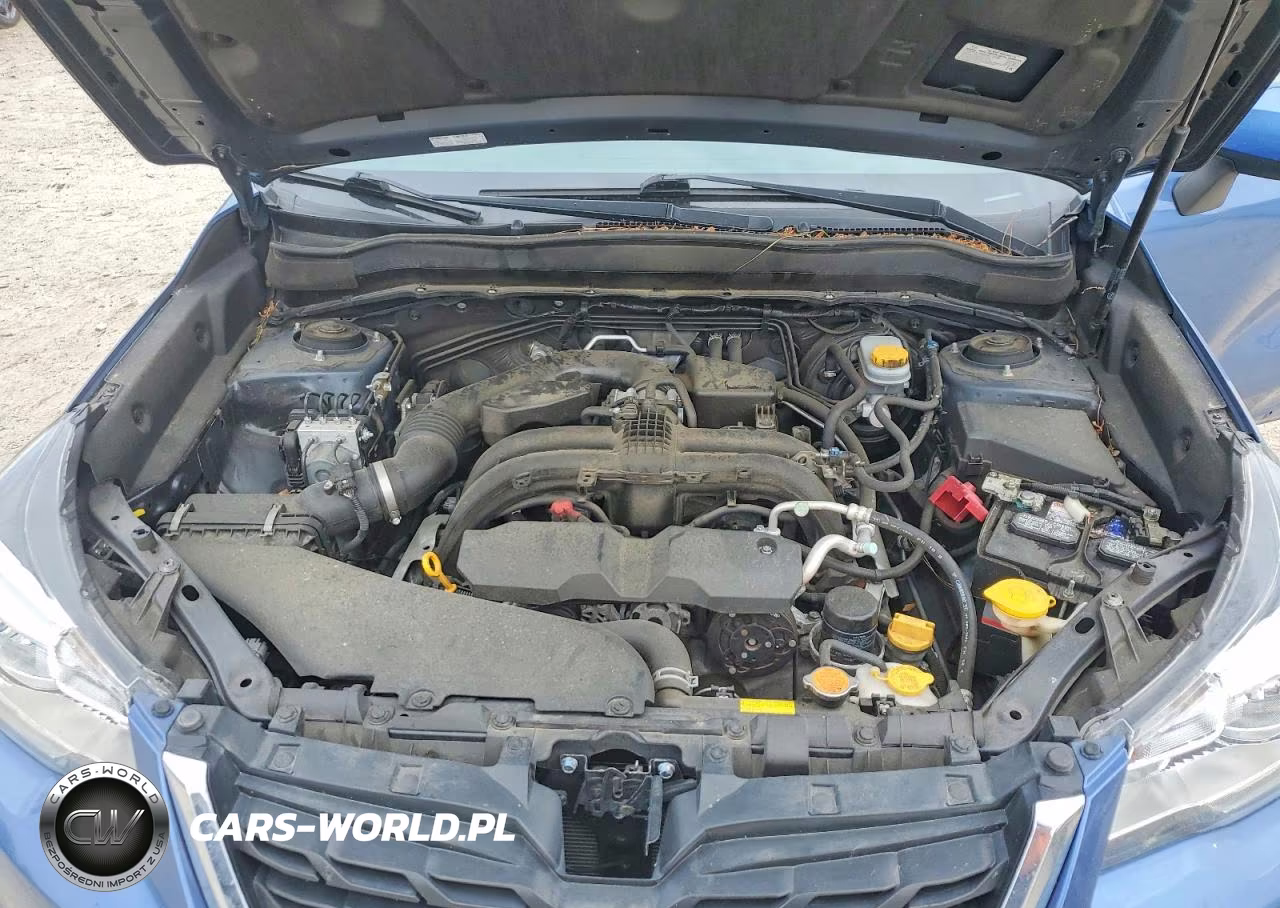 2017 Subaru Forester 2.5I Limited VIN:JF2SJAJC8HH478671 - 12