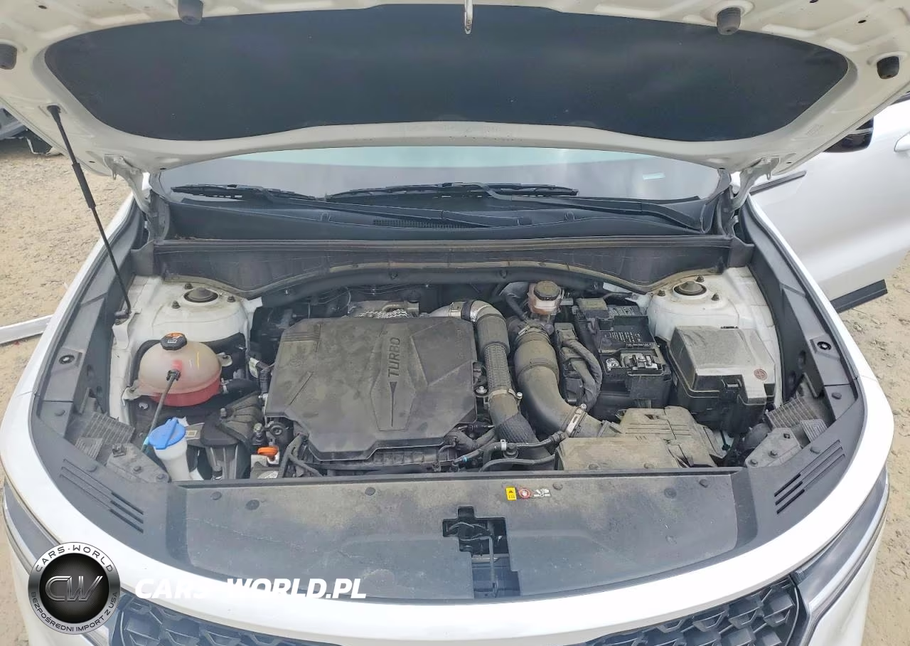 2023 Kia Sorento Ex VIN:5XYRHDLF6PG247065 - 12