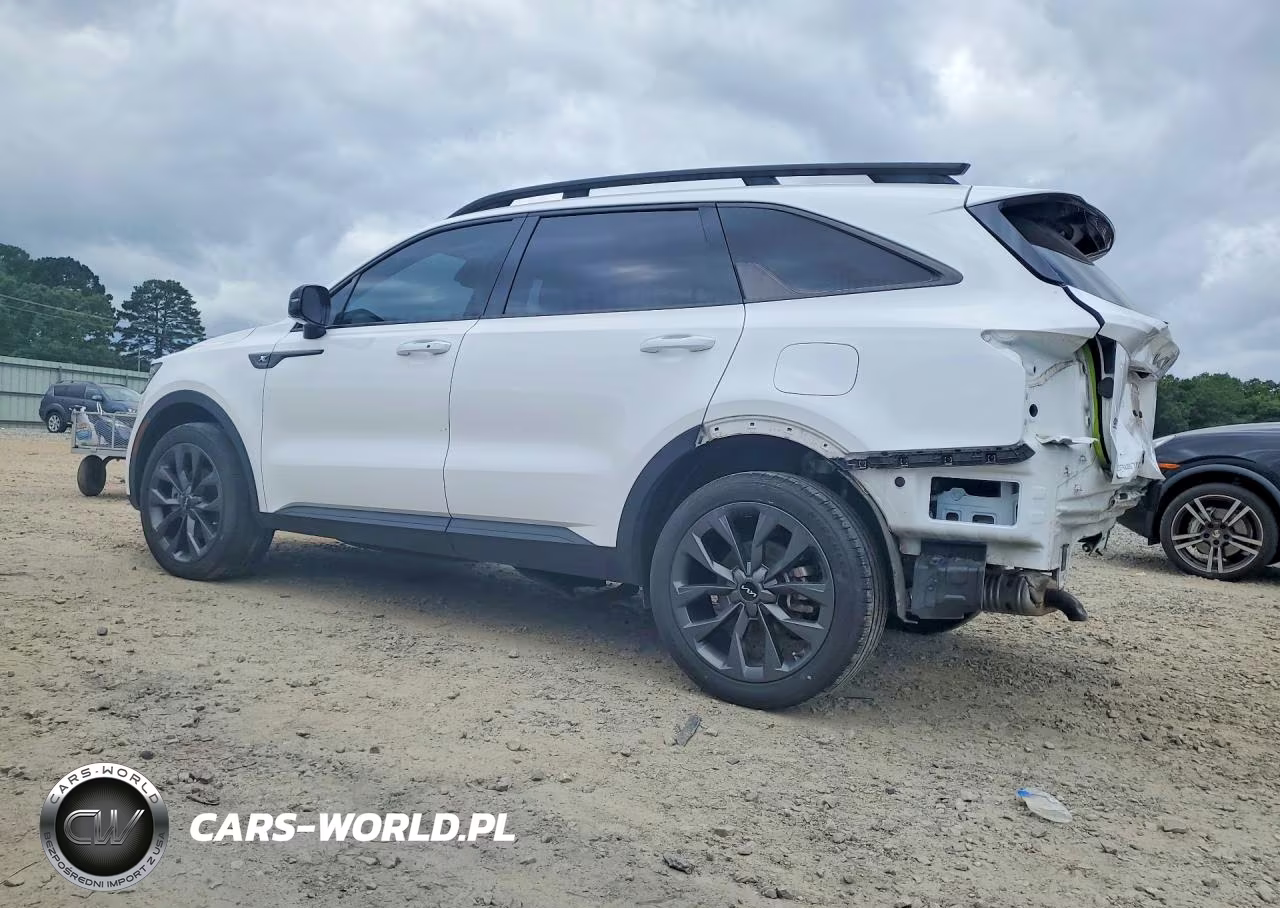 2023 Kia Sorento Ex VIN:5XYRHDLF6PG247065 - 2
