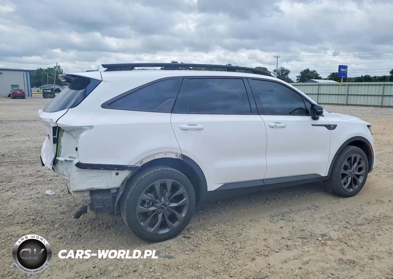 2023 Kia Sorento Ex VIN:5XYRHDLF6PG247065 - 3