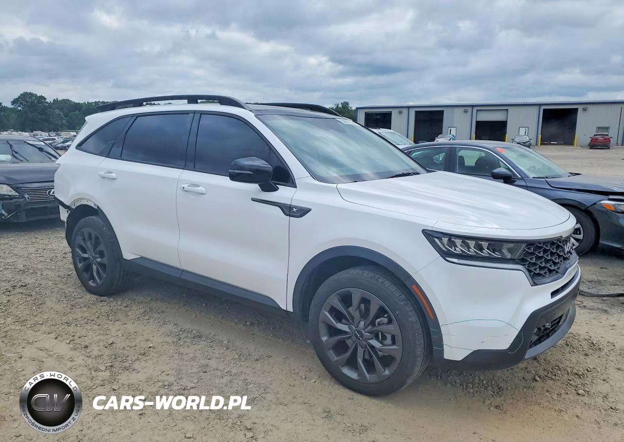 2023 Kia Sorento Ex VIN:5XYRHDLF6PG247065 - 4