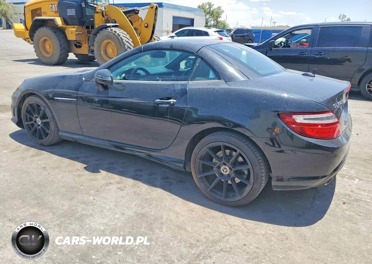 2014 Mercedes-Benz Slk 250 VIN:WDDPK4HA9EF090790 - 2