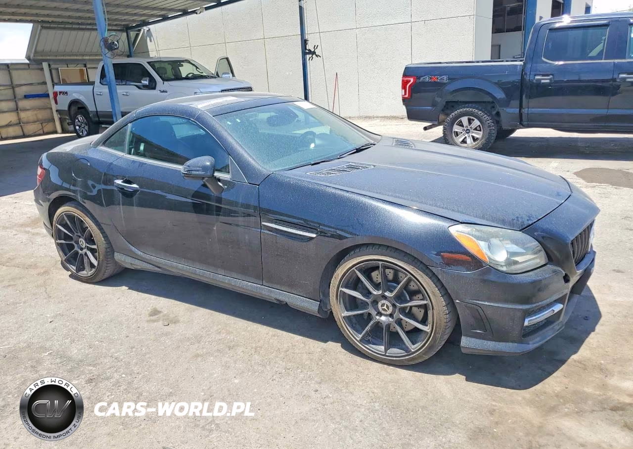 2014 Mercedes-Benz Slk 250 VIN:WDDPK4HA9EF090790 - 4