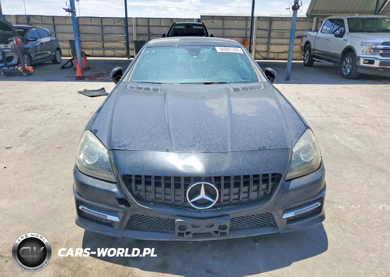 2014 Mercedes-Benz Slk 250 VIN:WDDPK4HA9EF090790 - 5